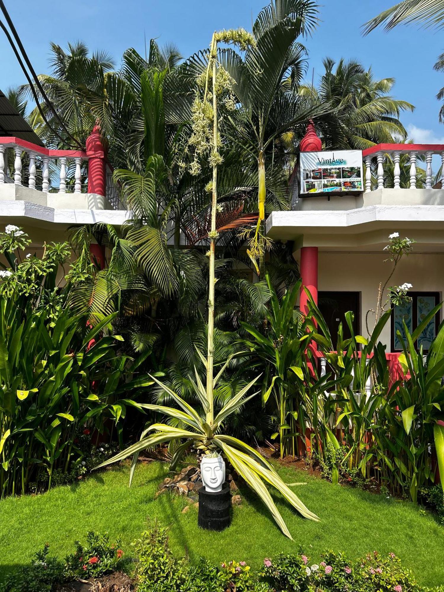 Vintage Beach Resort Agonda Exterior foto
